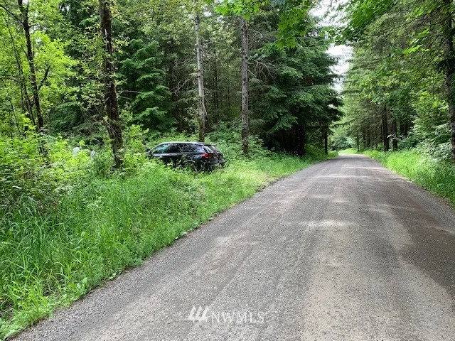 NE 98th St, Land is on the left side