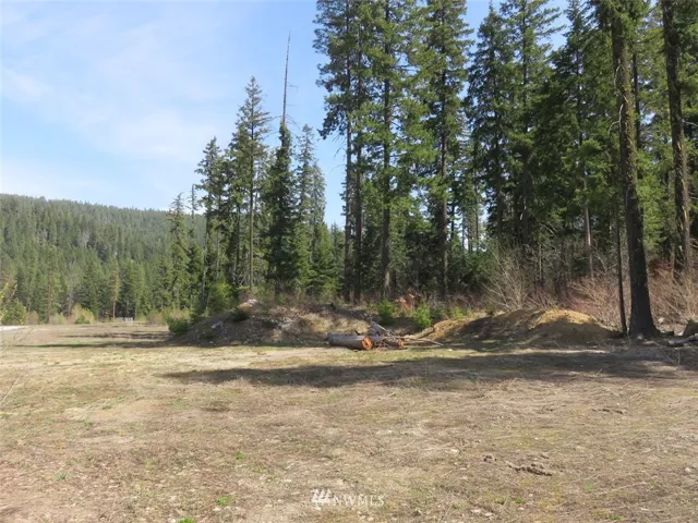 Lower front east portion-wooded area boarding neighbor property