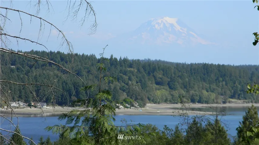 Beautiful water and Mount Rainier View in LakeLand Village.