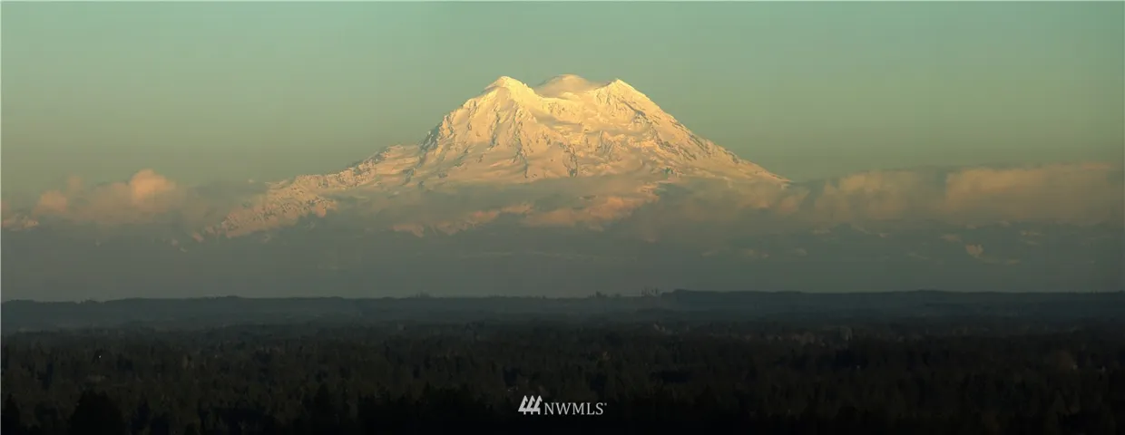 View from the deck! WOW!