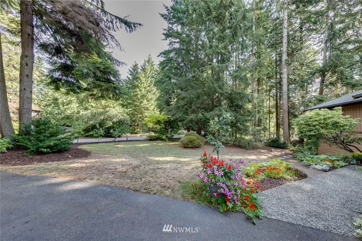 Sunny .31 acres!