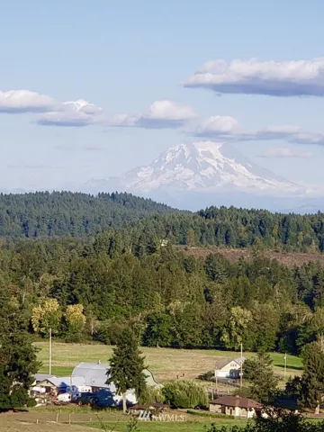 Enjoy stunning Mt. Rainier and Nisqually Valley views from the main floor, upstairs, and even the basement!