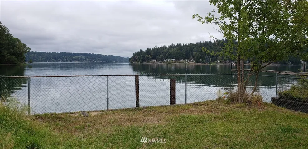 Standing at the back of the house.