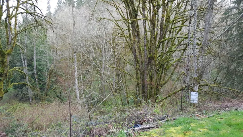 Top corner of property from the strand road.