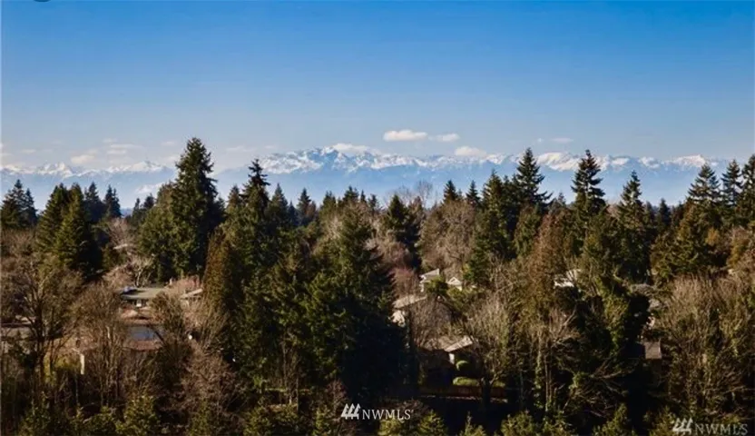 Spectacular Olympic Mountain Views