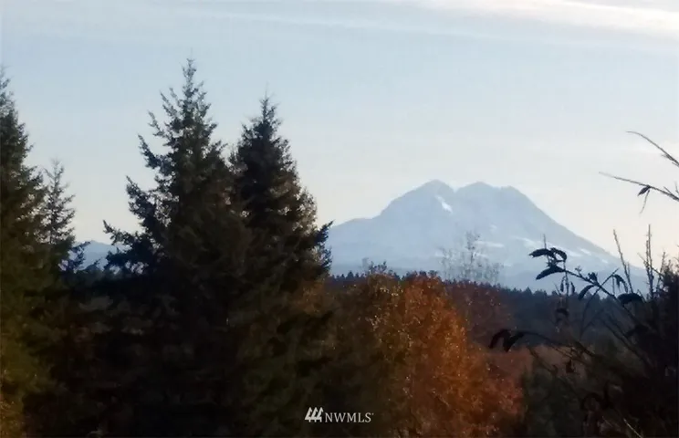 Breathtaking! Take in the majestic view of Mt Rainier from this magnificent hillside parcel.