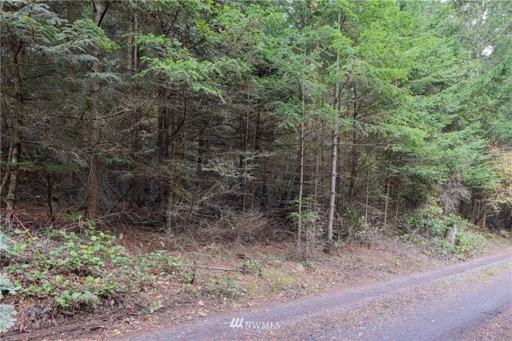 The nearly .7 acre lot as viewed from Captain Leison Lane.