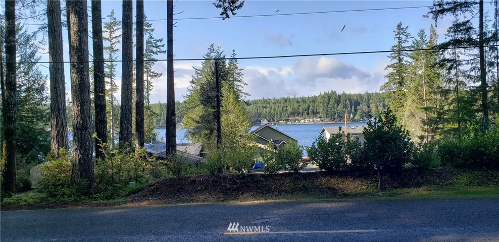 View of Mason Lake from the edge of the lot on the road.