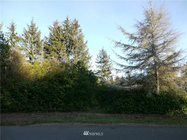 Road frontage of parcel.