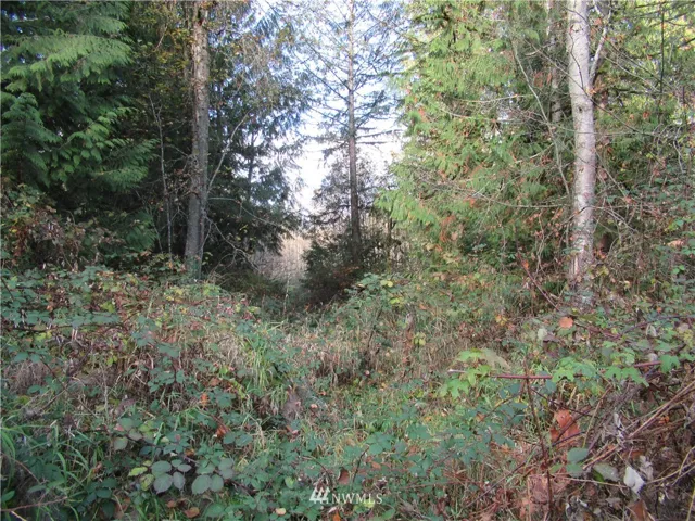 Beautiful secluded lot close to hwy 92.