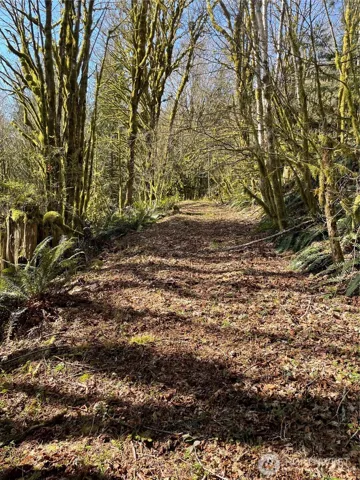 Property has a road cut that goes East to West