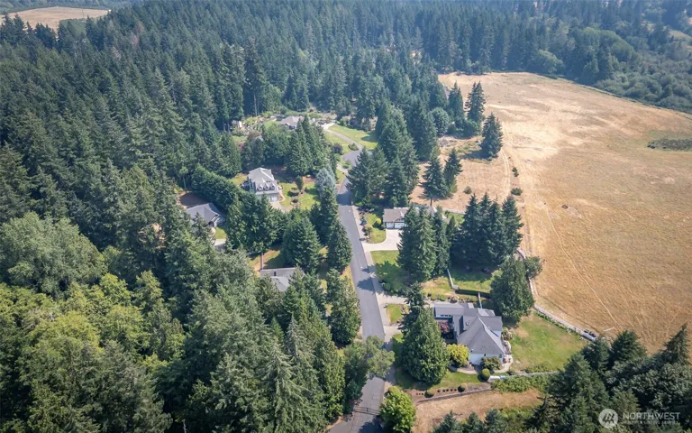 9110 158th Street Court Nw, Gig Harbor, WA 98329