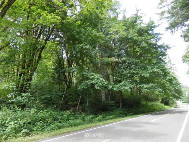 Looking east/NE at the property along North Shore Road