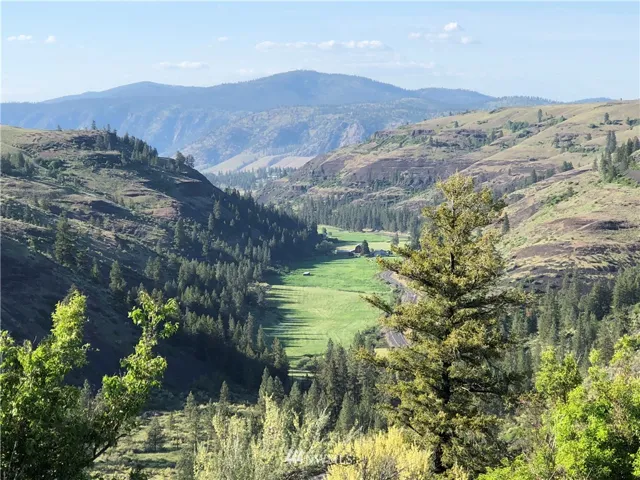 View from the northern edge of the property looking northwest. The Colville Indian Reservation is in the distance.
