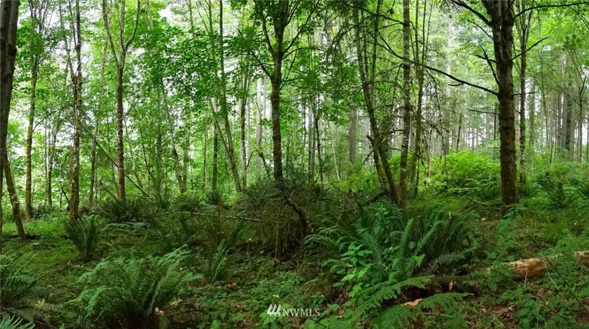 This nearly 7 acre parcel is private with stunning new and old growth trees on the property.