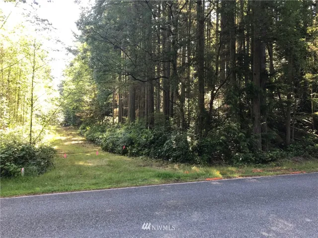 Quiet roadside lot with easy access for building. Walkway easement leads to your privately shared 50 ft of lakefront access.