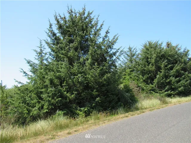 Beautiful, undeveloped, oceanfront acreage.