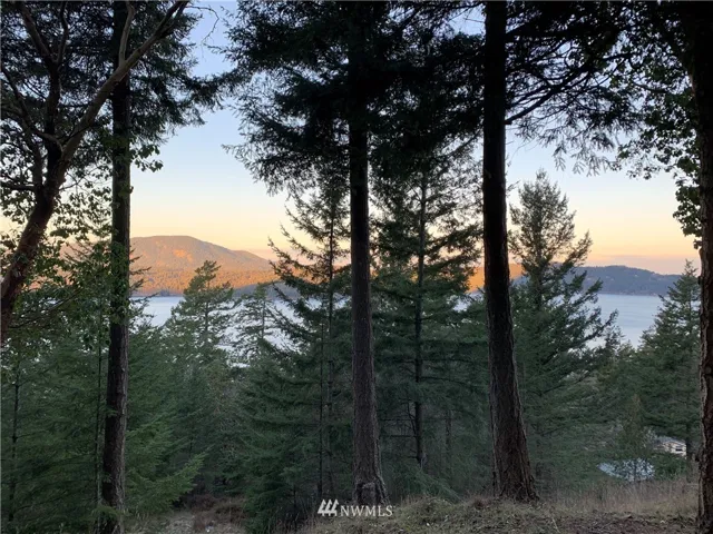 Morning sun on Turtleback Mt
