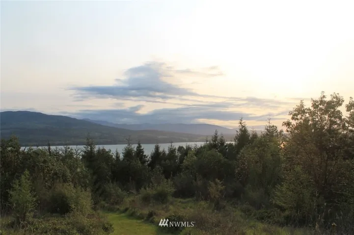 View taken from a tree top looking towards the water. The trees on the property can at least be topped for an impressive view.
