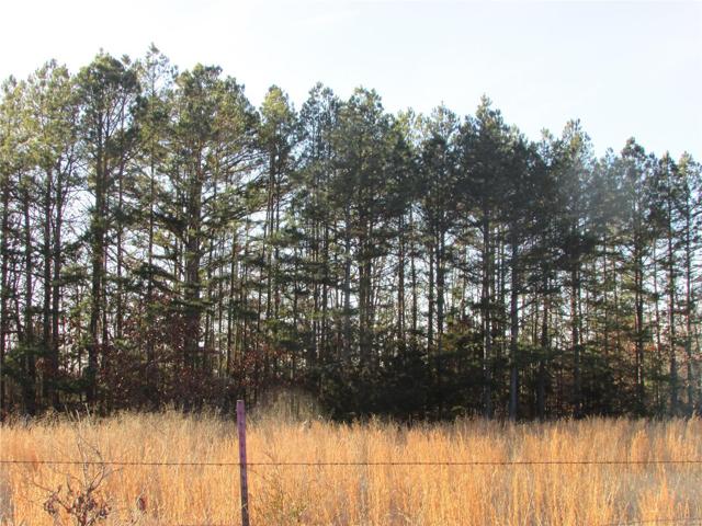 Pretty Pines!