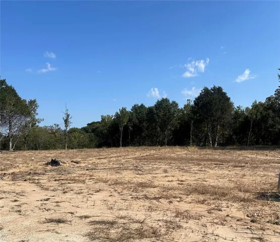 Lot 4 at The Estates at Schaper Farms is a level lot with plenty of woods and trees in back and surrounding area perfect to build your dream home!