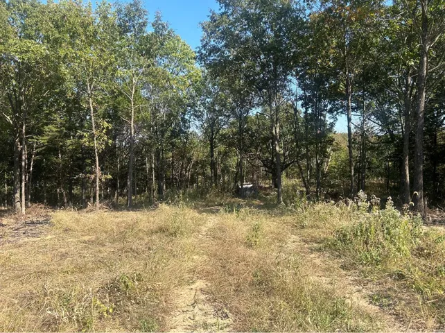 Ultimate private 3.60 Acre walk-out lot with approximately a 300 ft driveway leading to this private homesite.