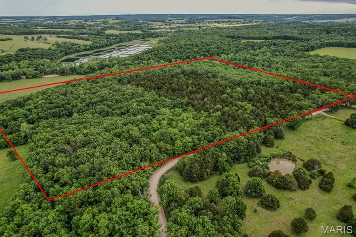 View of property location featuring property boundaries highlighted and a heavily wooded area