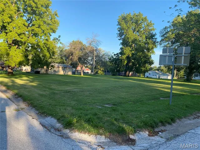 View of green lawn