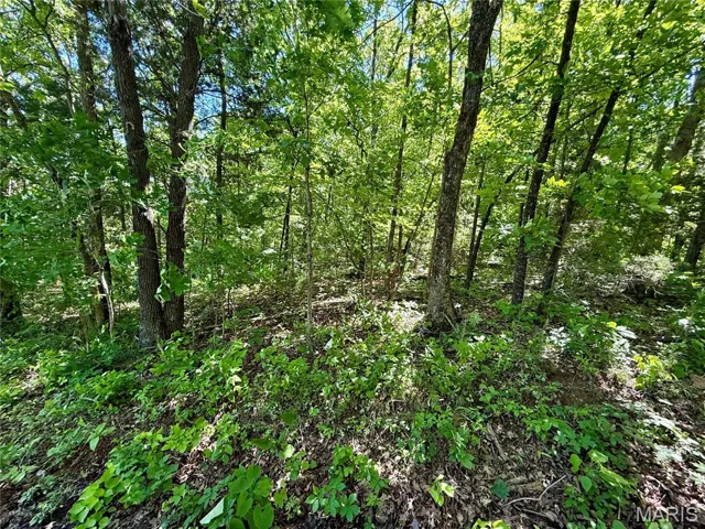 View of undeveloped land
