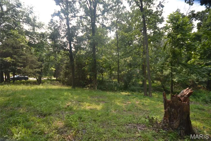 Gentle sloping lot to water