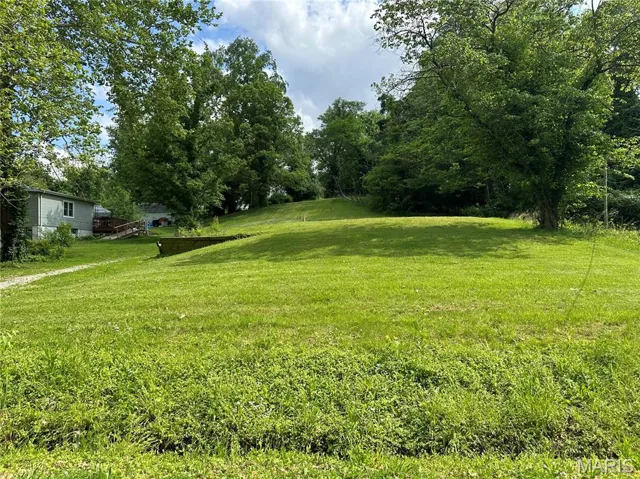 View of green lawn