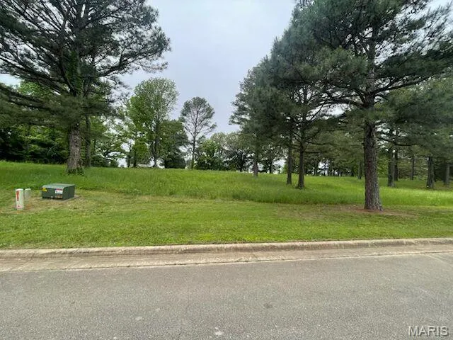 View of grassy yard