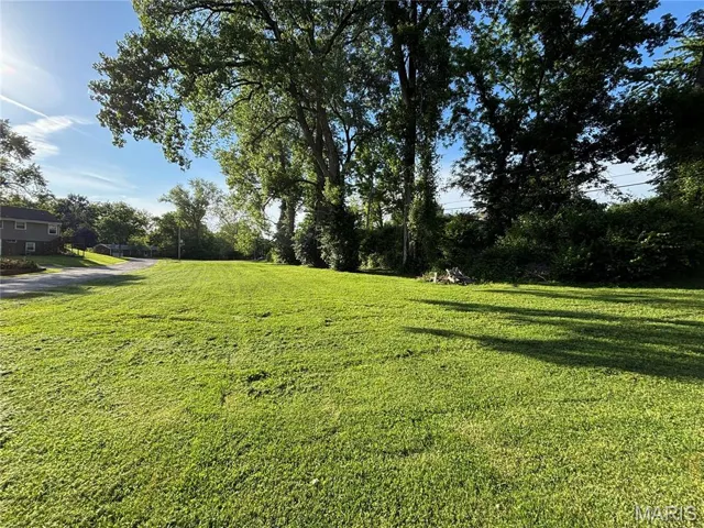 View of grassy yard