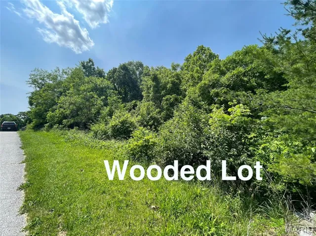 Wooded Lot