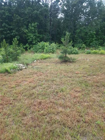 View of woods