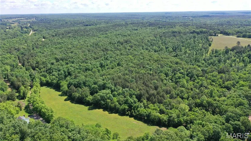 Bird's eye view of a heavily wooded area