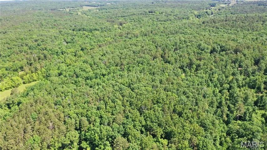 Aerial overview of property's location with a forest
