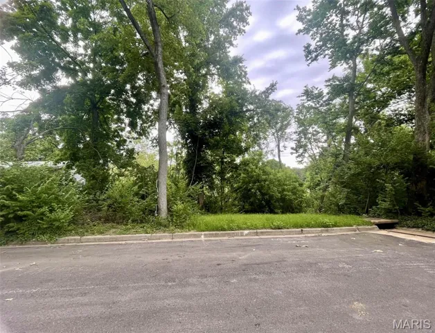 View of asphalt street featuring curbs