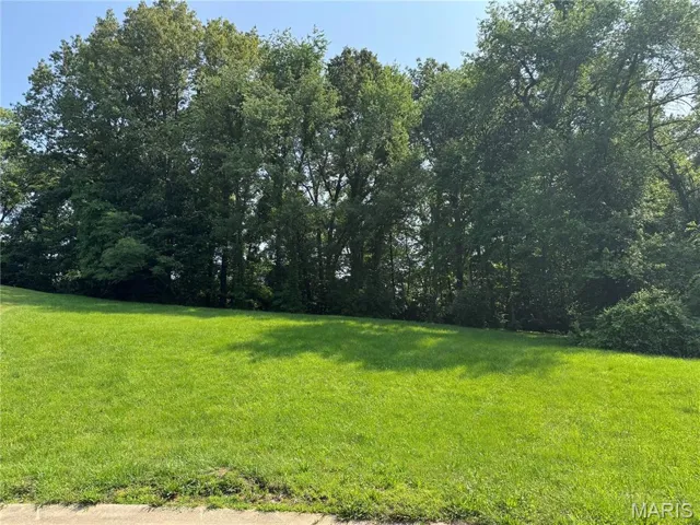 View of grassy yard