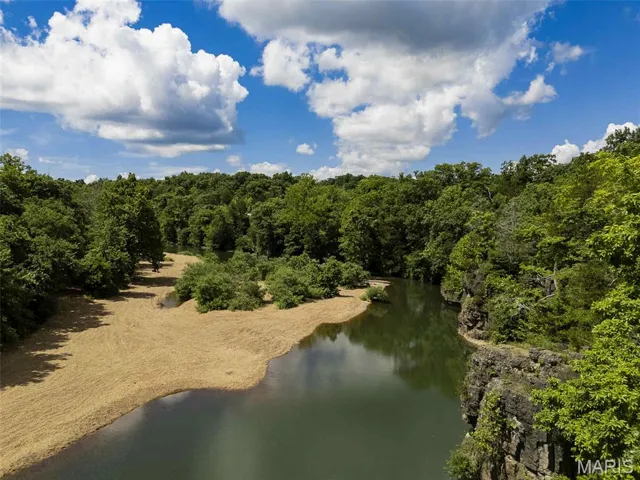 Aerial view of a forest and a nearby body of water