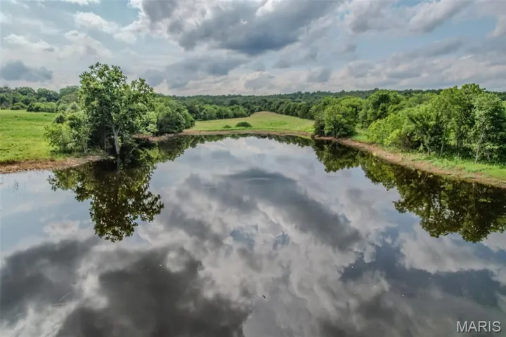 Water view with a heavily wooded area