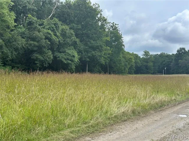 View of woods