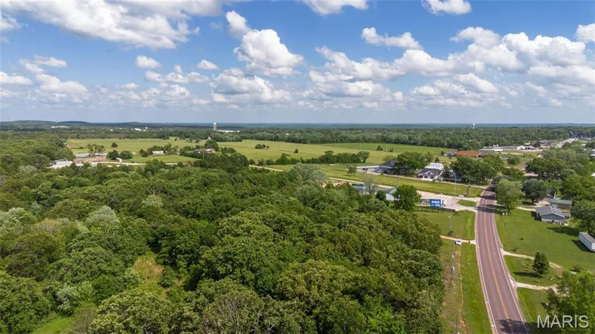 Drone / aerial view of a forest