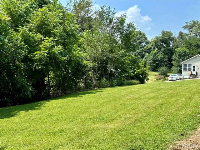 View of grassy yard