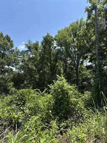 View of nature