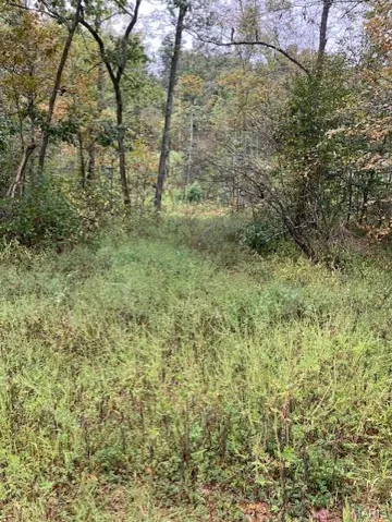 View of wooded area