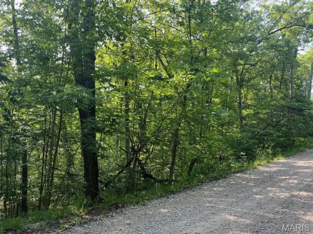 View of wooded area