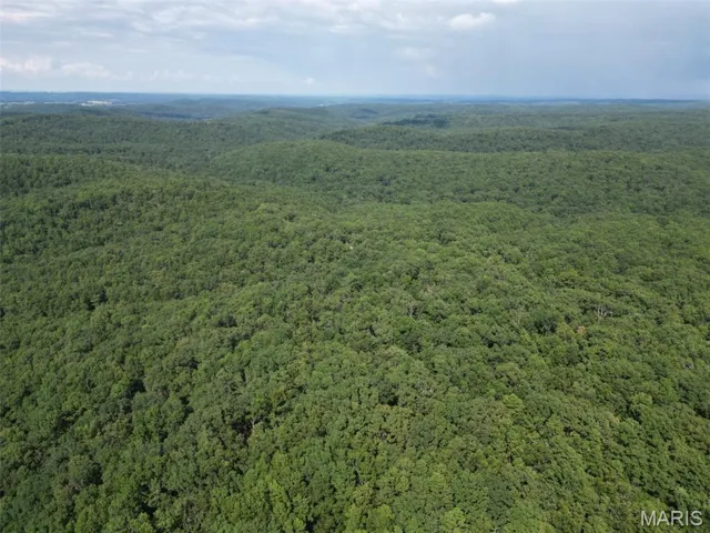 Drone / aerial view of a forest