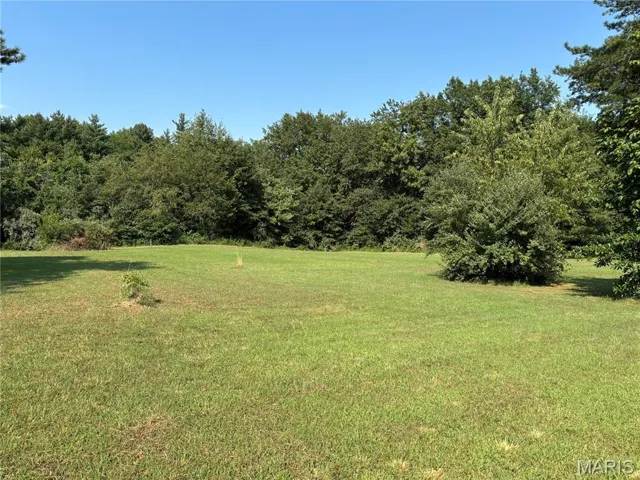 View of grassy yard