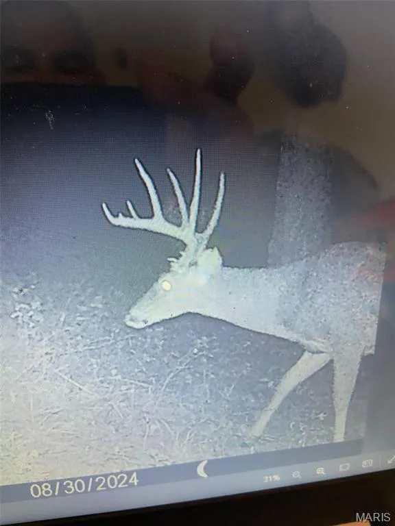 1170